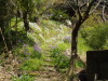 img0032.jpg