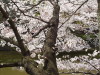 img0041.jpg