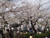 img0044.jpg