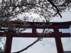 img0047.jpg