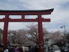 img0048.jpg