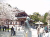 img0053.jpg