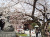 img0054.jpg