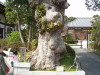 img0058.jpg