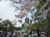 img0061.jpg