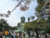 img0062.jpg