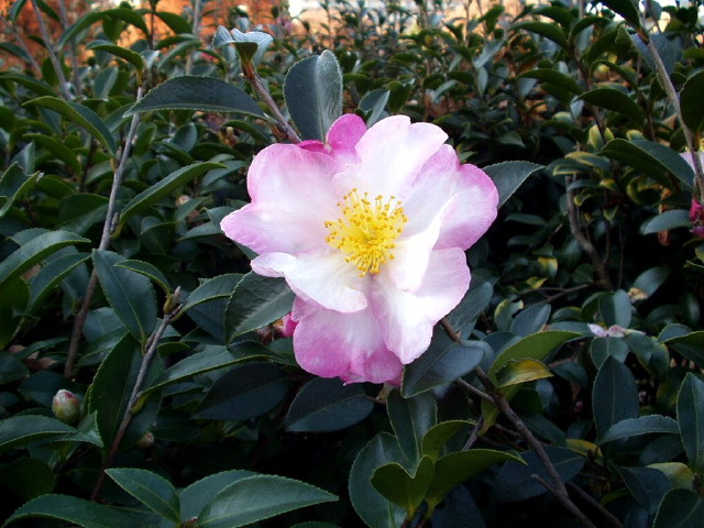 img0002.jpg