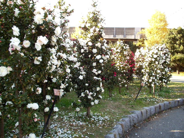 img0007.jpg