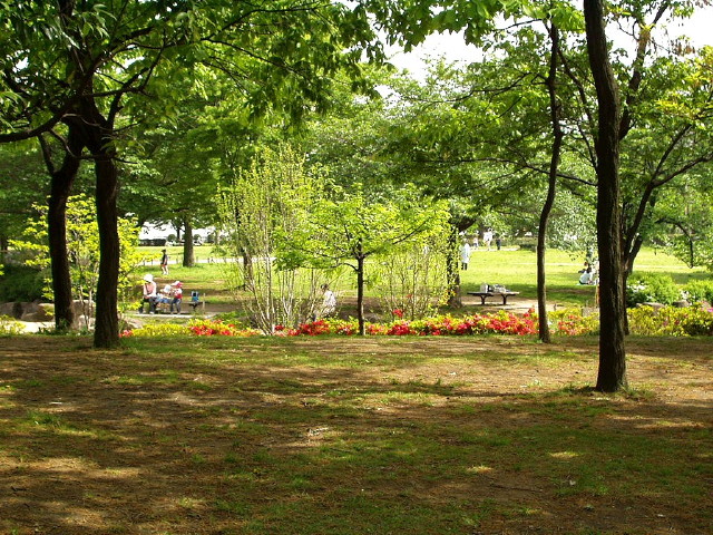 img0013.jpg