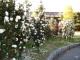img0007.jpg