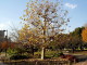 img0010.jpg