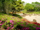 img0016.jpg