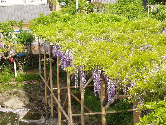 img0003.jpg