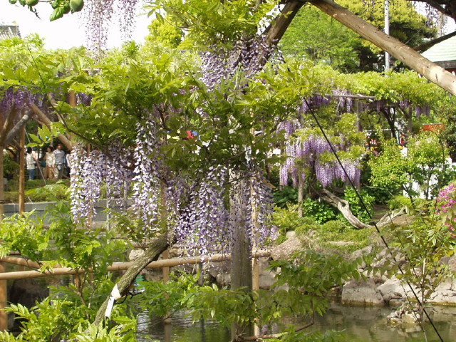 img0004.jpg