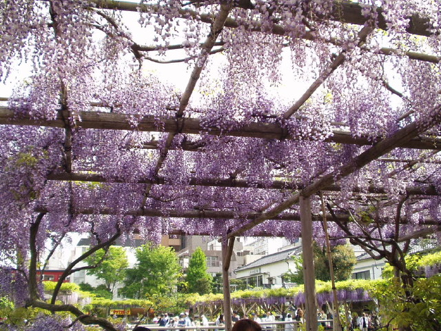 img0007.jpg
