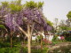 img0005.jpg