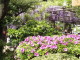 img0010.jpg