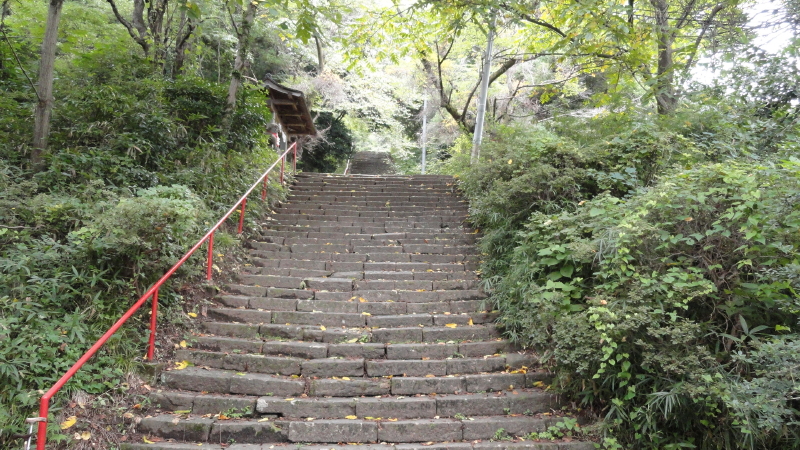 img0003.jpg