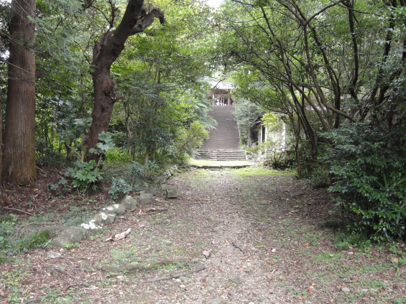 img0008.jpg