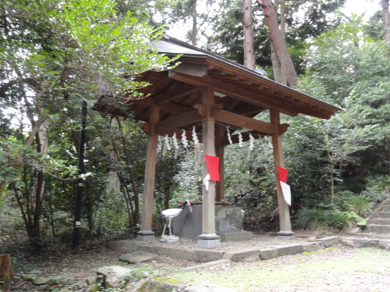 img0009.jpg