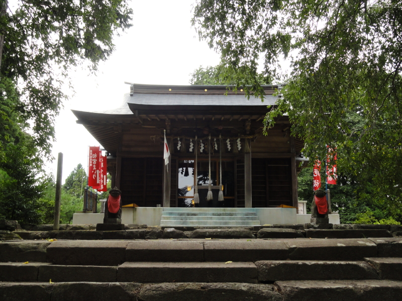 img0010.jpg