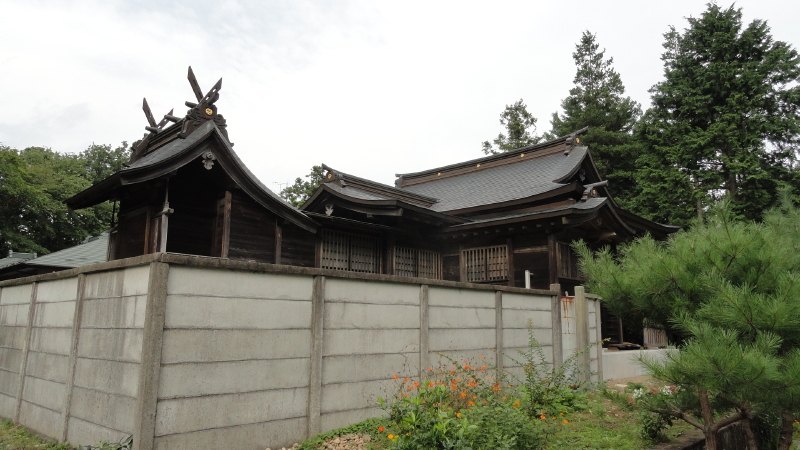 img0015.jpg