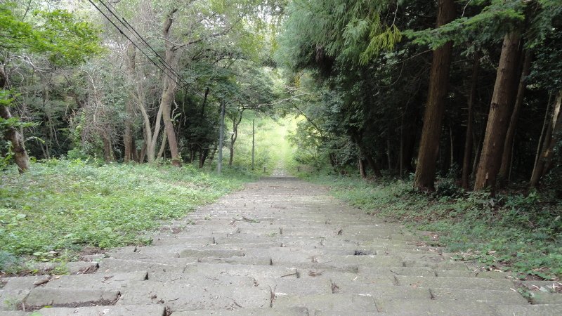 img0021.jpg