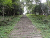 img0007.jpg