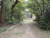 img0008.jpg