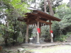 img0009.jpg