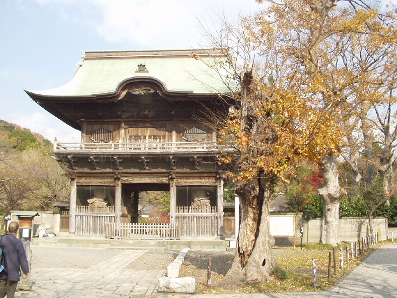 img0004.jpg