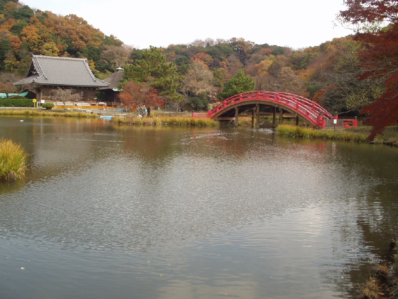 img0008.jpg
