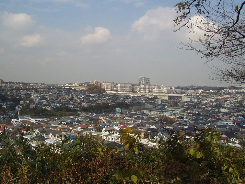 img0019.jpg
