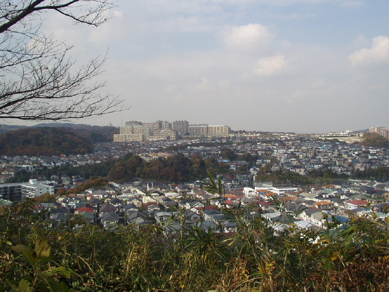 img0020.jpg
