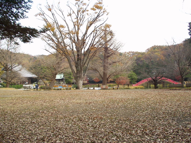 img0021.jpg