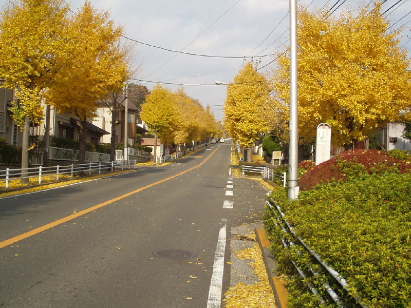 img0026.jpg