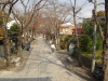 img0002.jpg