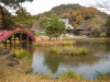 img0005.jpg