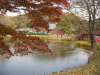 img0007.jpg