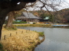 img0009.jpg