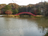 img0010.jpg