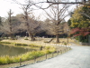 img0013.jpg