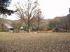 img0021.jpg