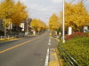 img0026.jpg