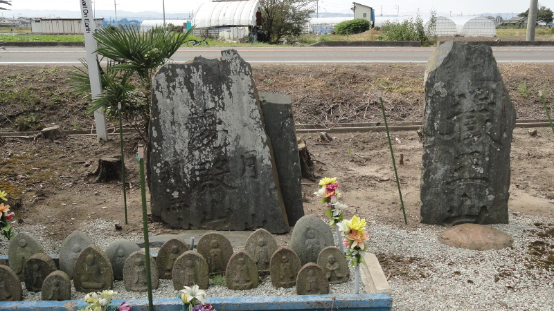 img0008.jpg