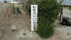 img0011.jpg