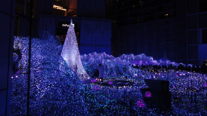 img0008.jpg