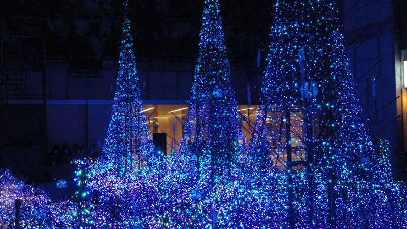 img0009.jpg