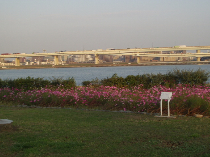 img0007.jpg