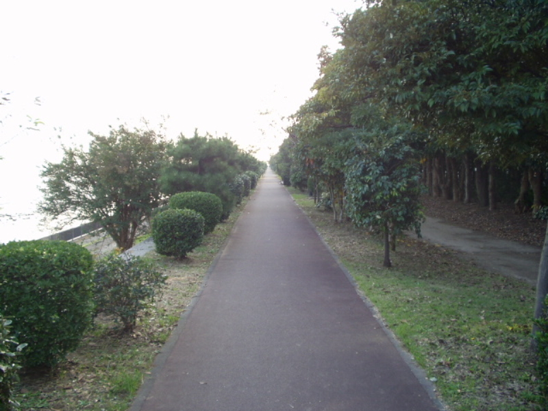 img0015.jpg